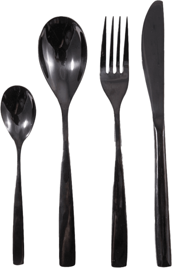 Set 12 Posate Eleganti in Plexiglass Modello Victoria di Colore Nero