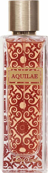 Eau De Parfum Aquilae Diane Castel - Fragranza Unisex - 100 ml - Profumo Duraturo e Intenso